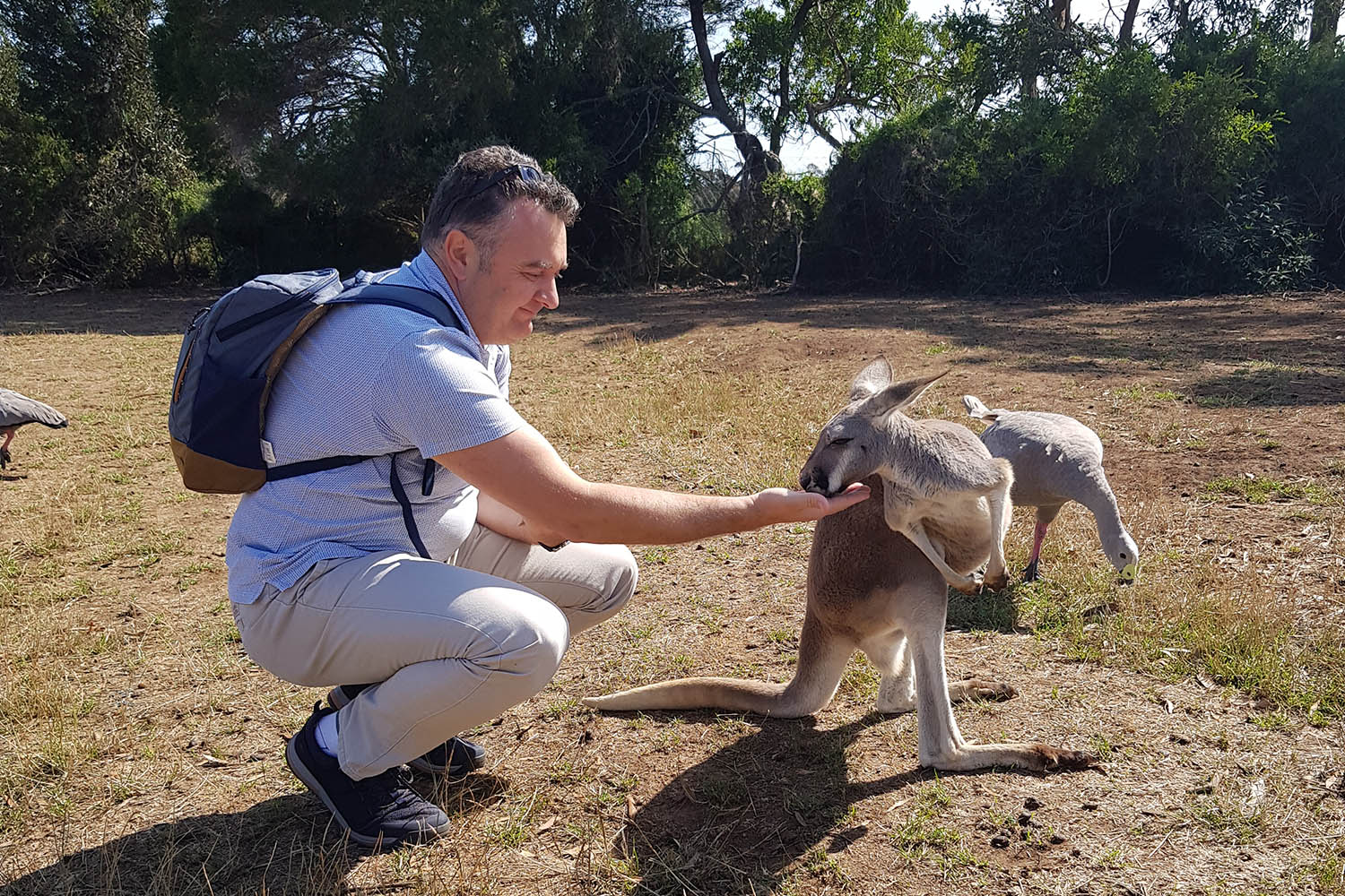 3 Australia